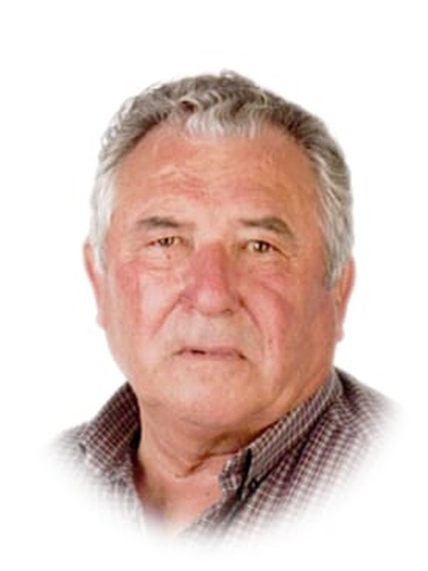 Fernando Ferreira Domingues