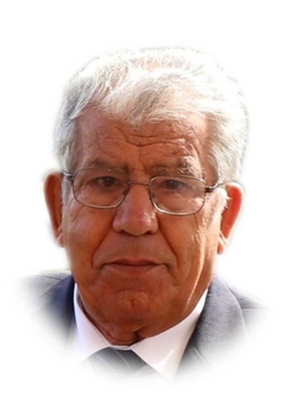 Luis Pedrosa Amorim