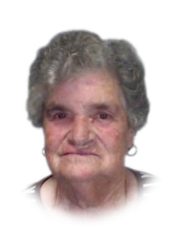 Maria de Lourdes Fernandes Alves