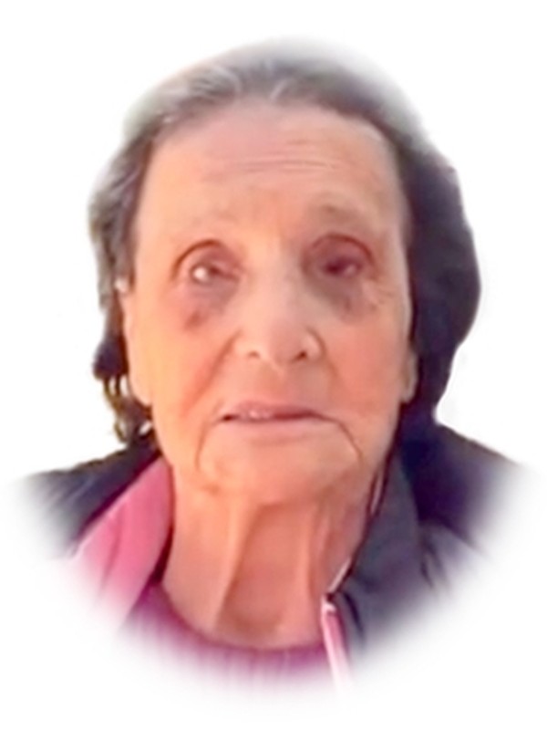 Maria de Lourdes Pereira Fernandes