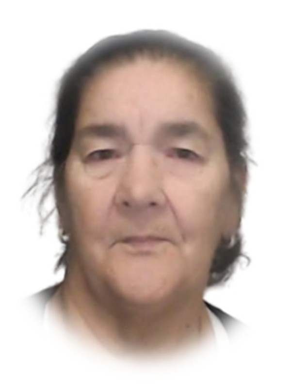 Maria Albina da Silva Meneses Lourenço