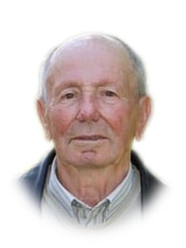 Silvério Veloso Gomes