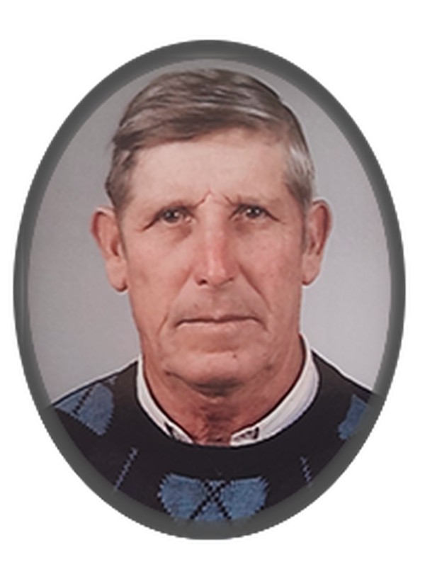 Domingos Luís da Costa Silva