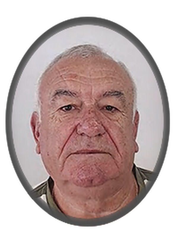 Manuel António da Silva Bastos